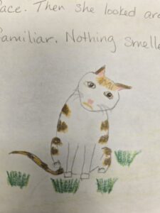 Colored pencil drawing of a ginger and white cat.