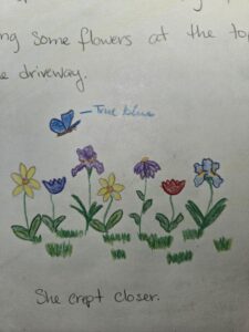 Colored pencil drawing of flowers and a blue butterfly